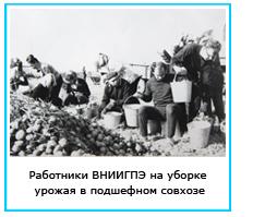 workers.jpg